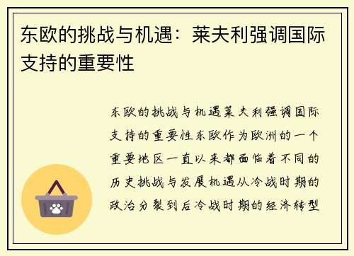 东欧的挑战与机遇：莱夫利强调国际支持的重要性