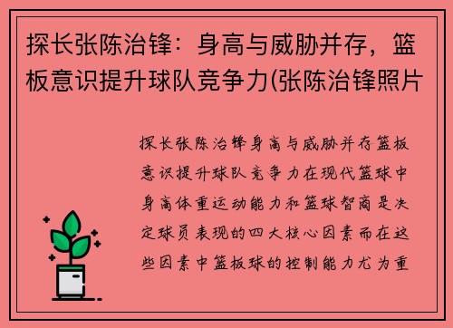 探长张陈治锋：身高与威胁并存，篮板意识提升球队竞争力(张陈治锋照片)